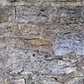 Wall Stone 064