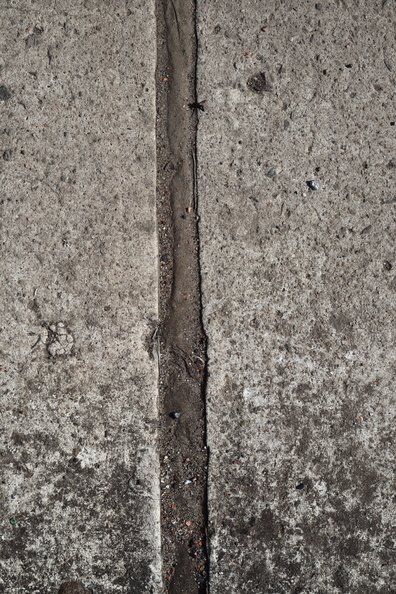 Concrete Floor 001