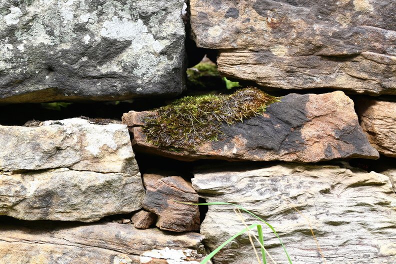 Wall Stone 030