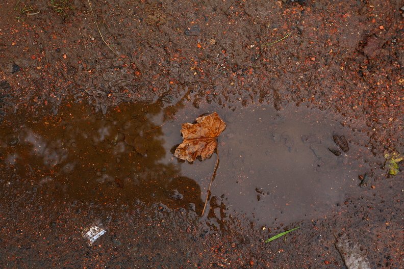 Water_Puddle_001.JPG