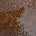 Water Puddle 002