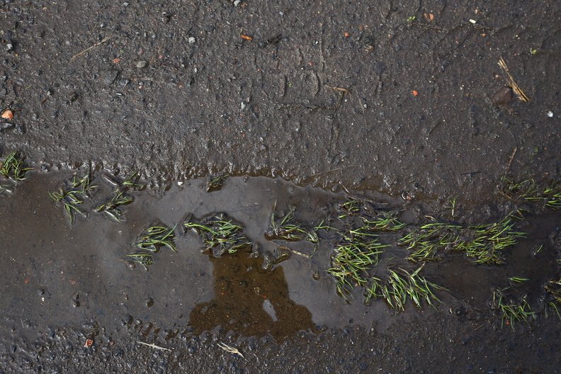 Water_Puddle_008.JPG