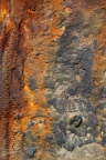 Rust Completely 038