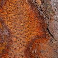 Rust Completely 065