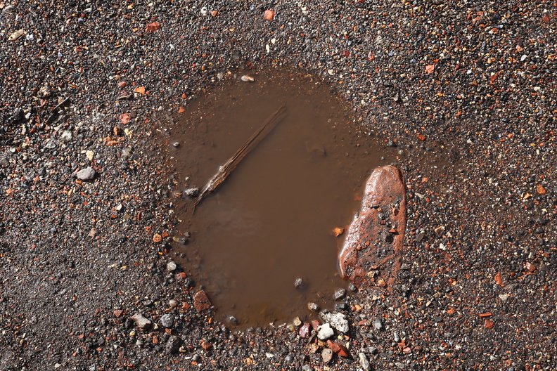 Water_Puddle_012.JPG