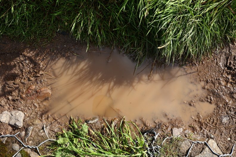 Water_Puddle_013.jpg