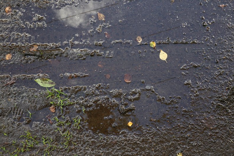 Water_Puddle_016.JPG