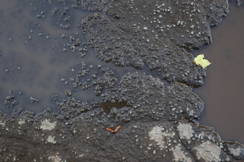 Water_Puddle_018.JPG
