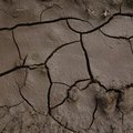 Soil Cracked 016