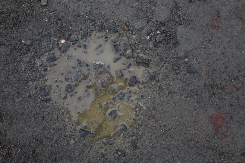 Water_Puddle_025.JPG