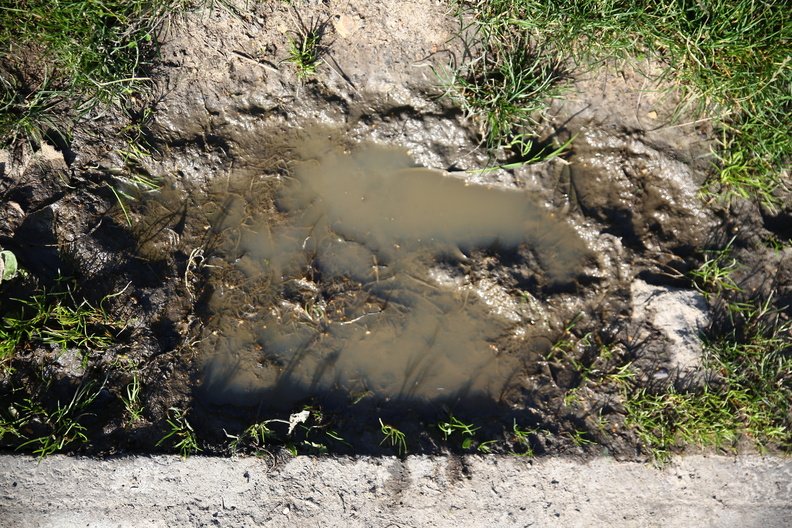 Water_Puddle_020.JPG