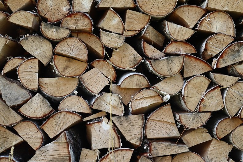 Wood Logs 007