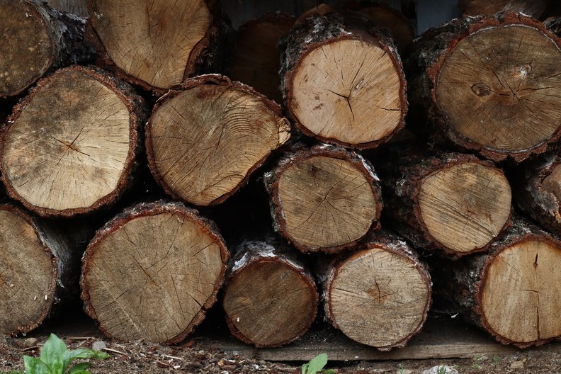 Wood Logs 001