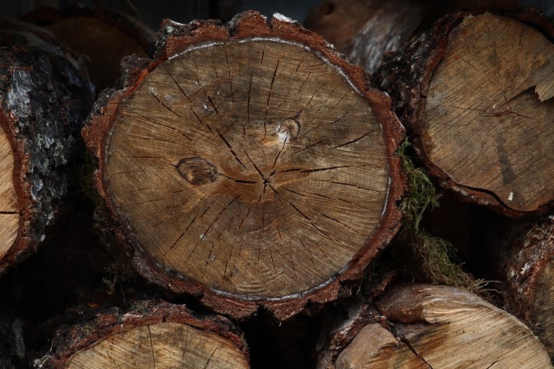 Wood Logs 002