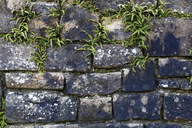 Wall Stone Bricks 029