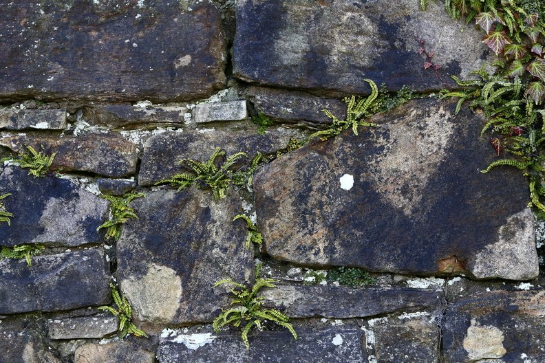 Wall Stone Bricks 030