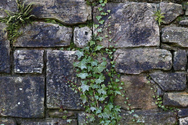 Wall_Stone_Bricks_028.JPG