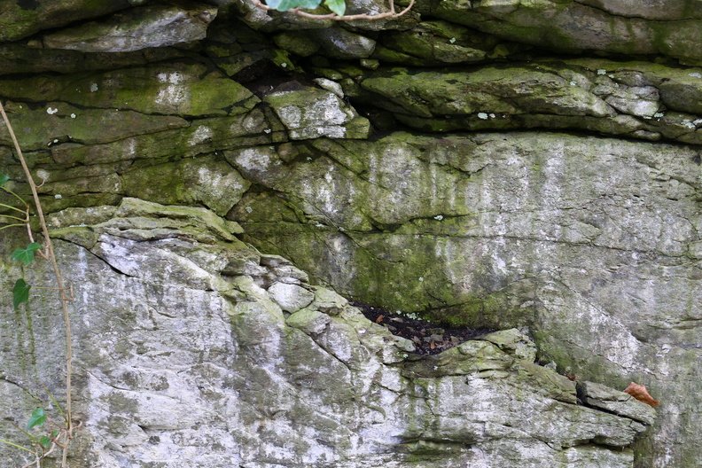Rock Cliff 061