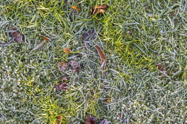 Ground Frozen 022