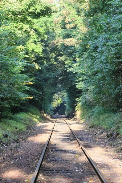 Railway Tracks 003