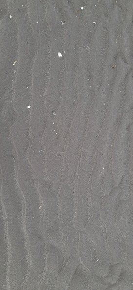 Sea Sand 026