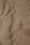 Sea Sand 044