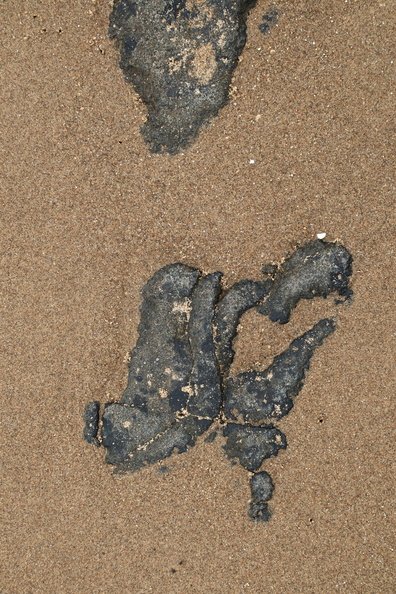 Sea Sand 045