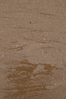 Sea Sand 055