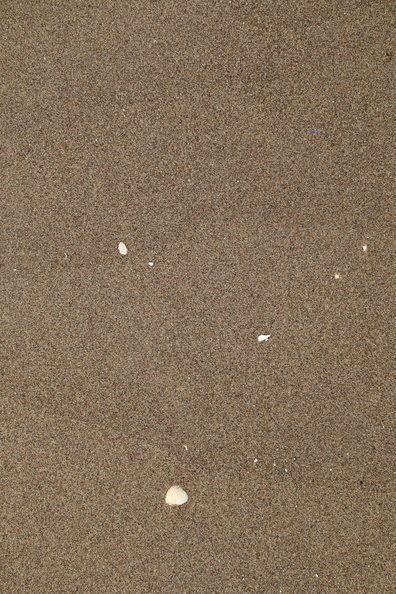 Sea Sand 028