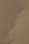 Sea Sand 039