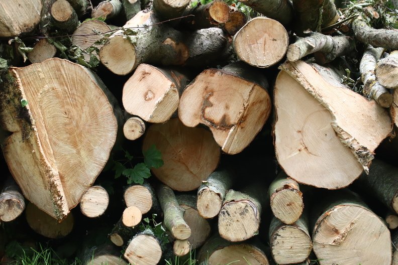 Wood Logs 008
