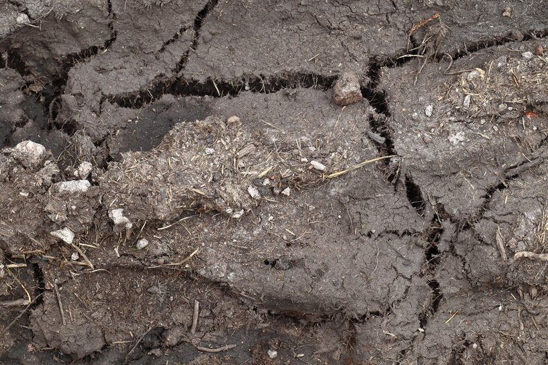 Soil Cracked 023