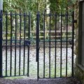 Fence Metal Gate 028