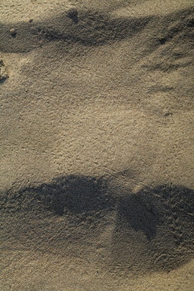 Sea Sand 071