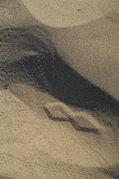 Sea Sand 076