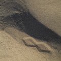 Sea Sand 076